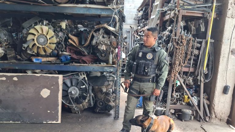 img-20250906-wa00631