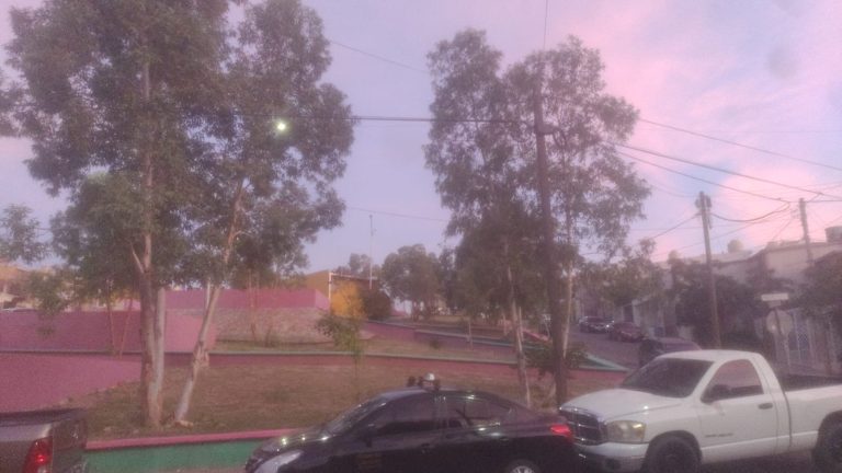 img-20251006-wa00071