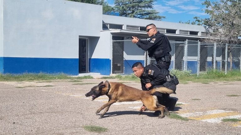 img-20251006-wa0011-1