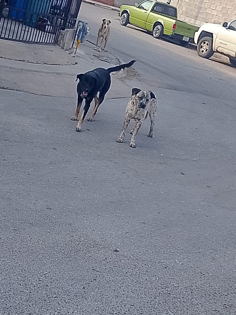 img-20251014-wa00111