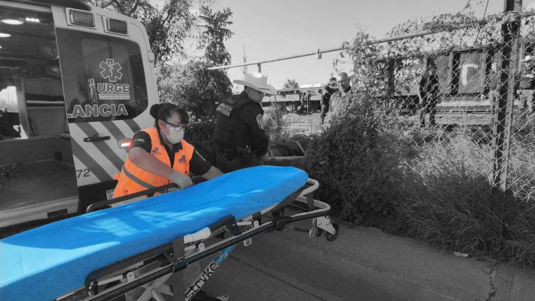 img-20251014-wa0070-1