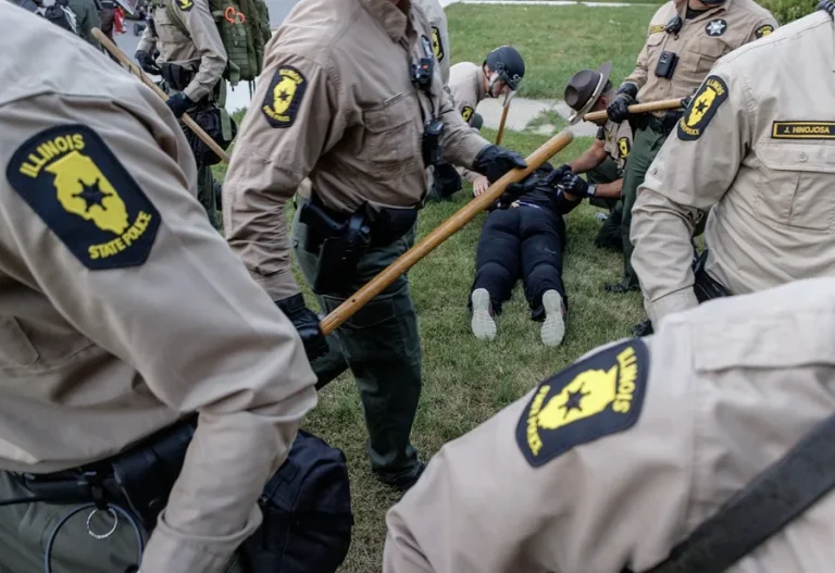 ley-de-insurreccion-1