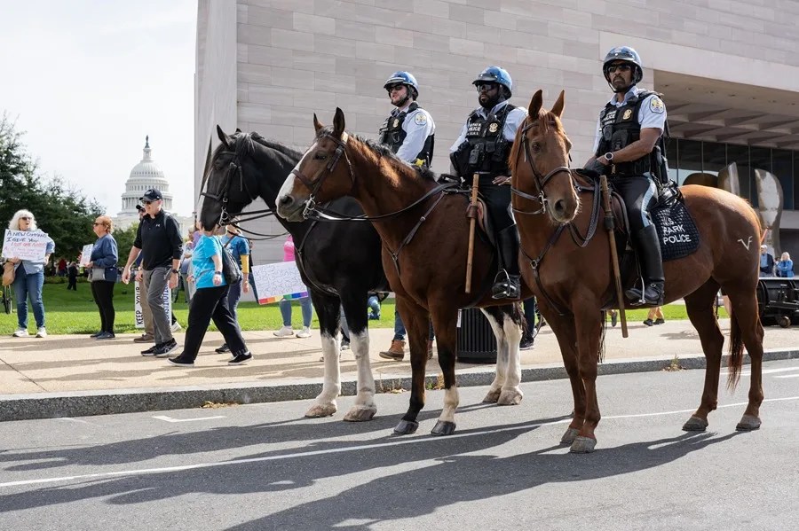 policia_montada_manifestacion Miles de personas en todo EE.UU. protestan en contra de Trump: "No queremos Reyes"