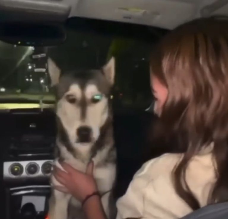 screenshot_20251011_162704_whatsappbusiness