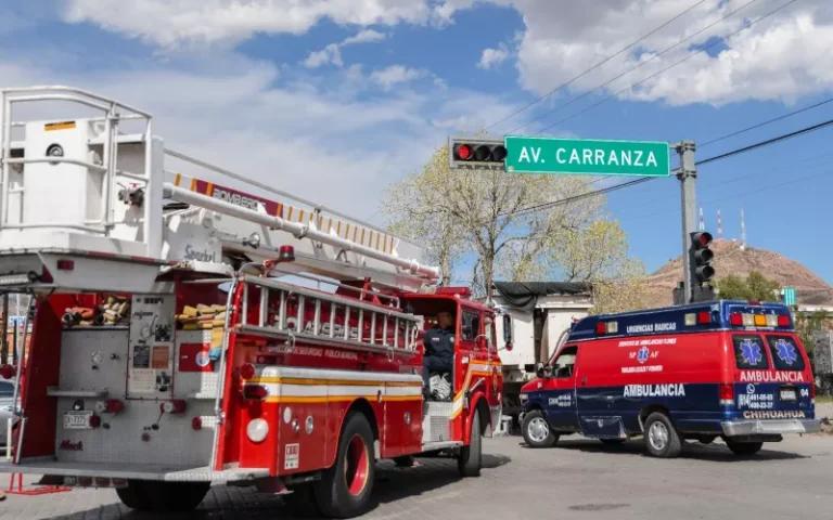 whatsapp-image-2023-09-15-at-16-51-00-1-jpeg