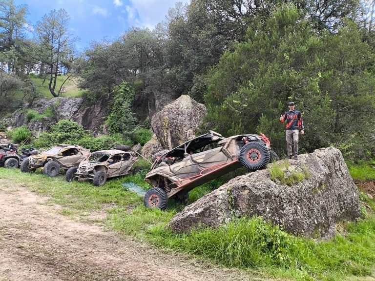 whatsapp-image-2025-08-21-at-11-27-29-am