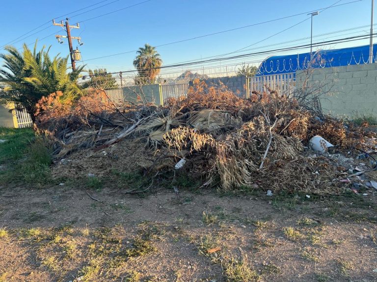 whatsapp-image-2025-10-03-at-7-50-57-am