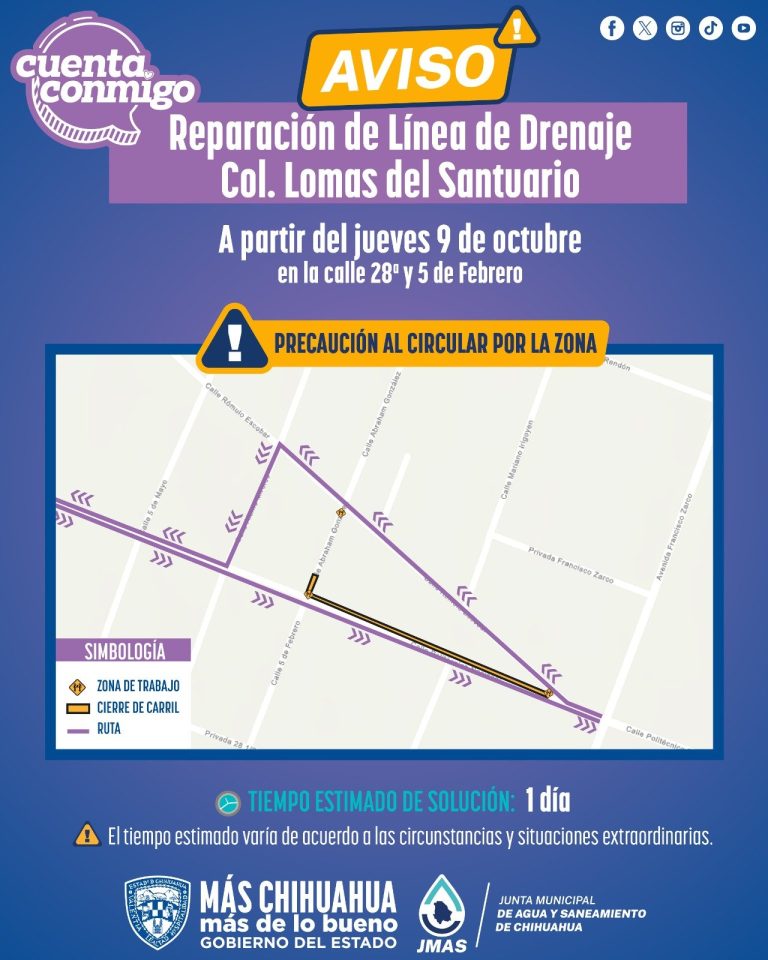 whatsapp-image-2025-10-08-at-11-56-00-am