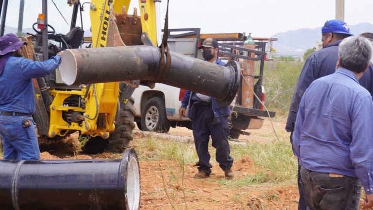 whatsapp-image-2025-10-17-at-12-16-55-pm