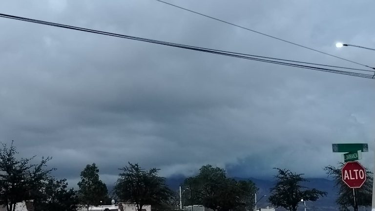 whatsapp20image202025-10-2320at2010-37-1120am