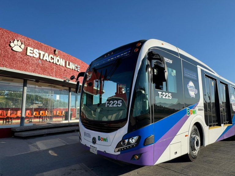 whatsapp20image202025-10-3020at205-24-4020pm