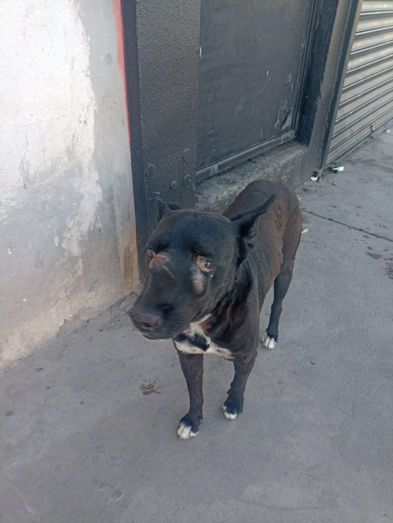 6b76ce6c-2bff-4712-b464-5b1ee43b9608