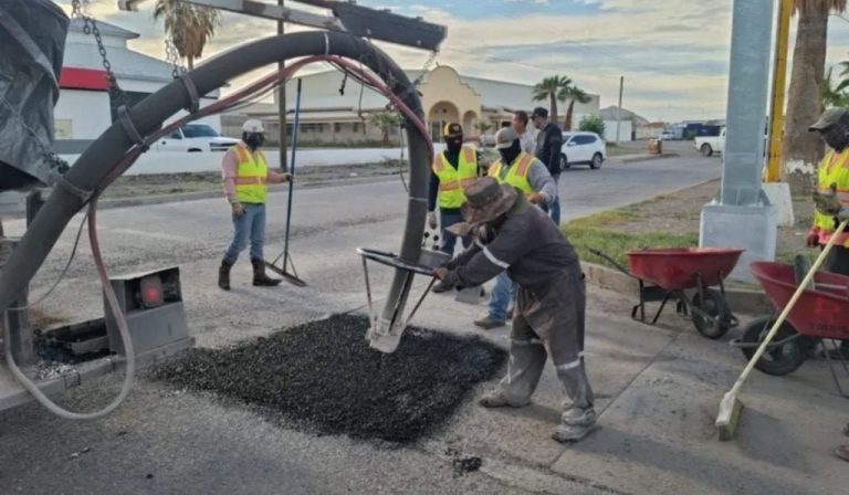bacheo-chihuahua-1024x597-1