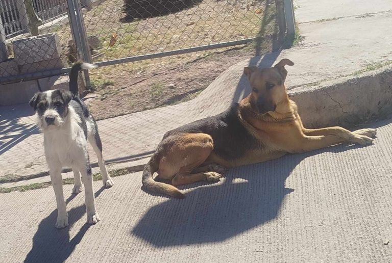 business-suite_creation_3727168044243633