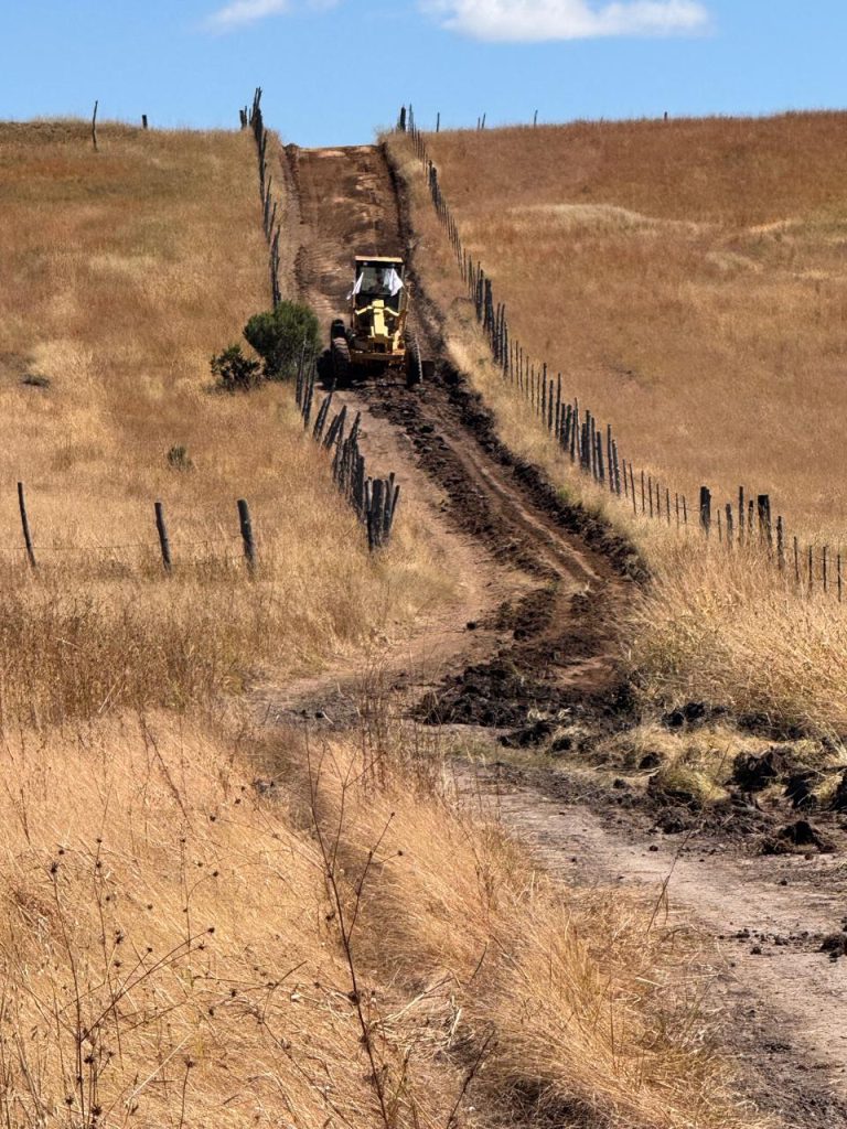 fec4f987-449e-4619-af36-5560c4a777242028129