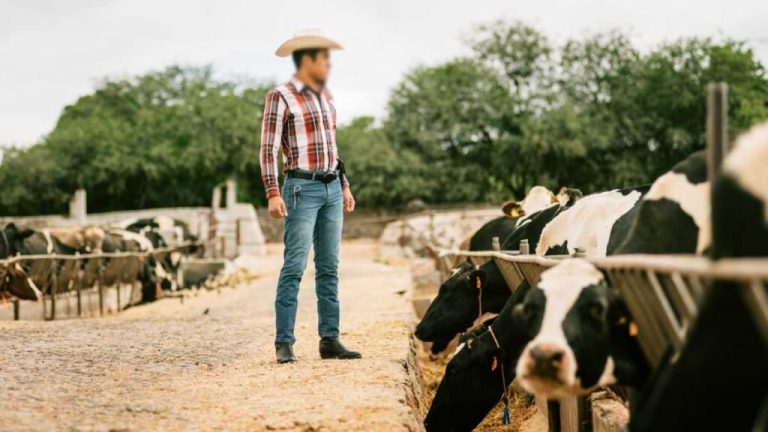 ganado-150138-1024x576-1