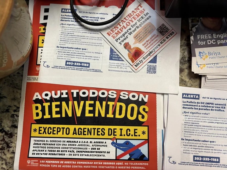 Gregory Bovino redadas Trump