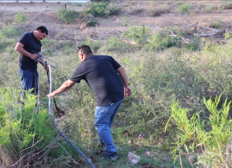 screenshot_20251110_072918_google