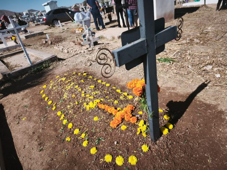 whatsapp-image-2025-11-02-at-12-06-05-pm