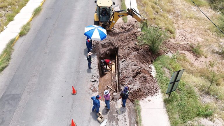 whatsapp-image-2025-11-05-at-1-38-31-pm