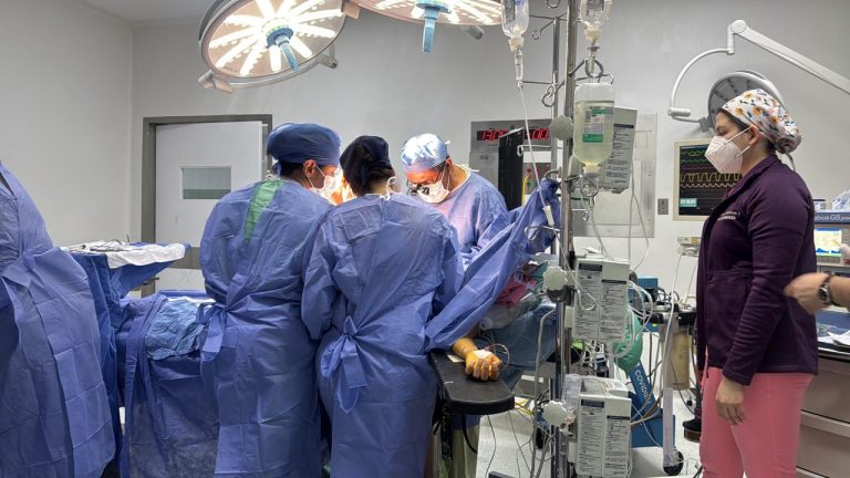 whatsapp20image202025-11-0320at2011-12-2720am2028129