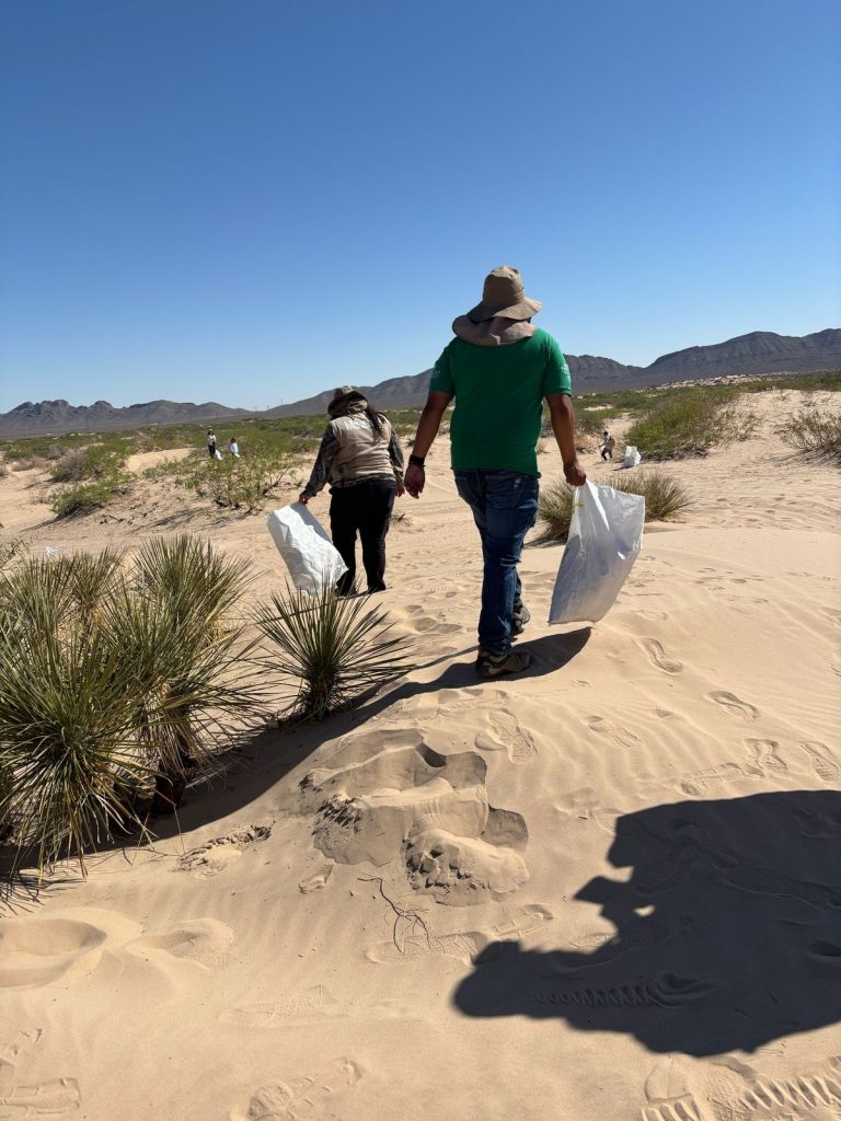 whatsapp20image202025-11-0620at2015-03-3028329