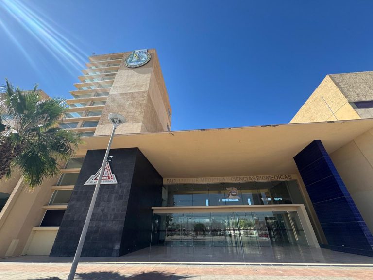 whatsapp20image202025-11-1020at201-10-2220pm2028229