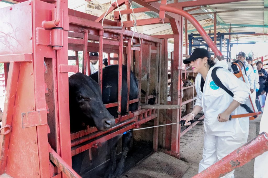SANIDAD20AGROPECUARIA20CHIHUAHUA20281029