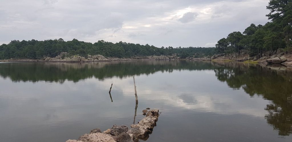 WhatsApp20Image202025 12 1620at201.44.1120PM