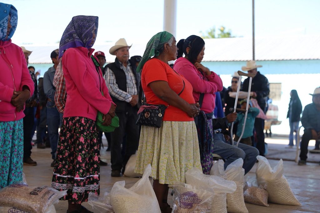 WhatsApp20Image202025 12 1920at201.09.1420PM