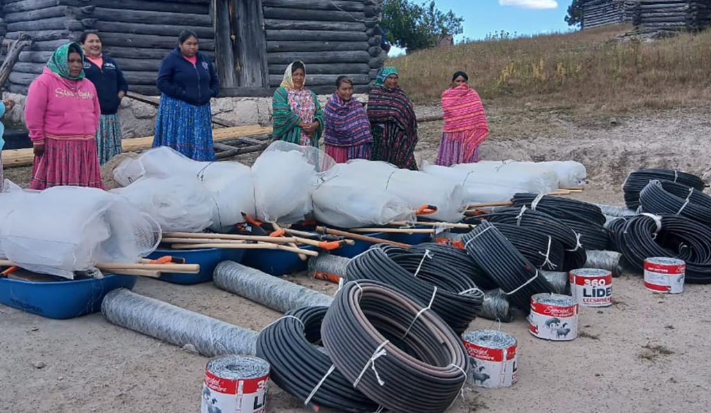 WhatsApp20Image202025 12 2320at202.21.0920PM