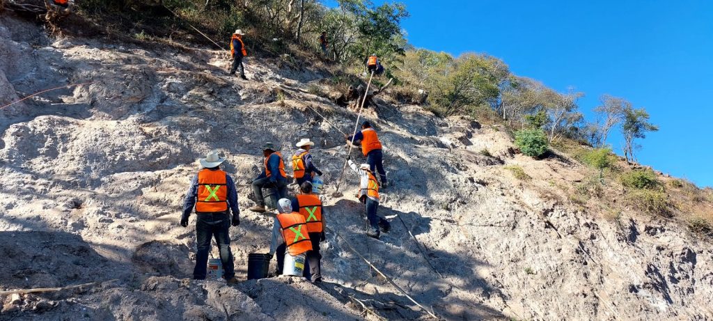 WhatsApp20Image202025 12 2320at203.45.2820PM