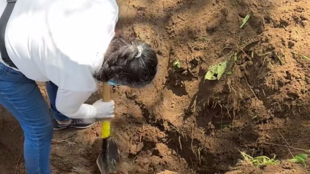 F1280x720 130856 262531