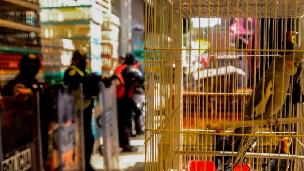 F1280x720 133546 265221