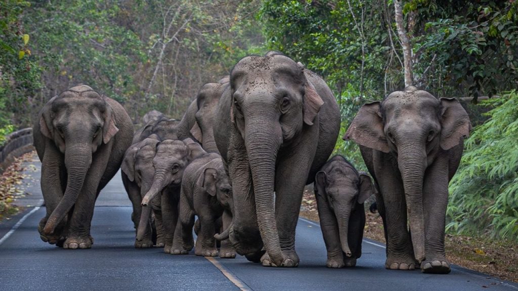 F1280x720 133613 265288