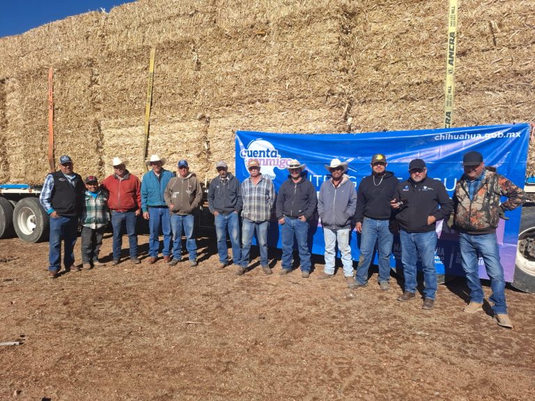 6351d0ef c680 4d7f 8ebb c3c7ef859c5b