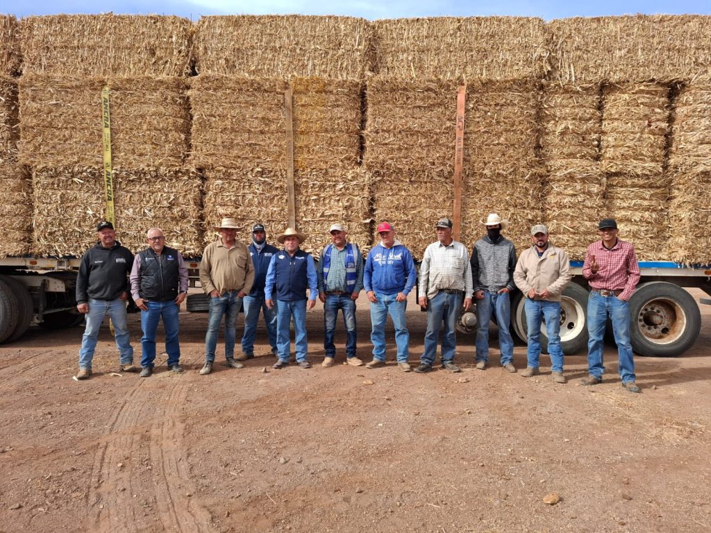 Dc2a6358 ca1c 42f2 842f 4a48712bca71