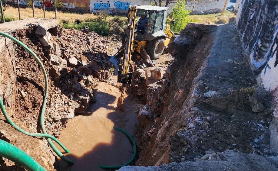 Whatsapp20image202026 01 0220at202 19 4620pm