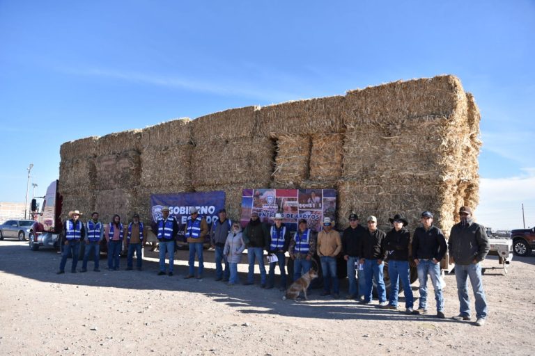 Whatsapp20image202026 01 1320at2012 07 3320pm