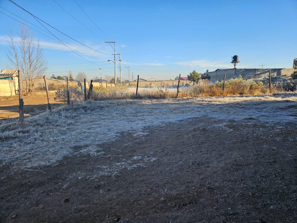 Whatsapp20image202026 01 1420at209 36 0820am2028129