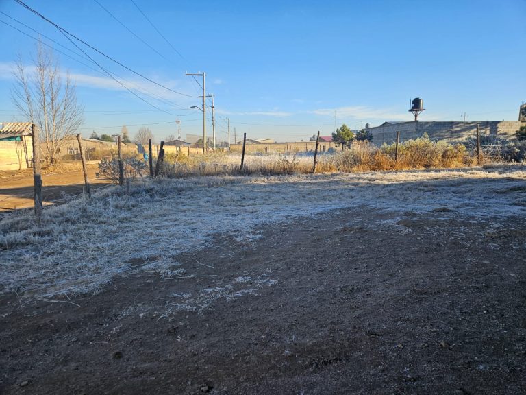 Whatsapp20image202026 01 1420at209 36 0820am2028129