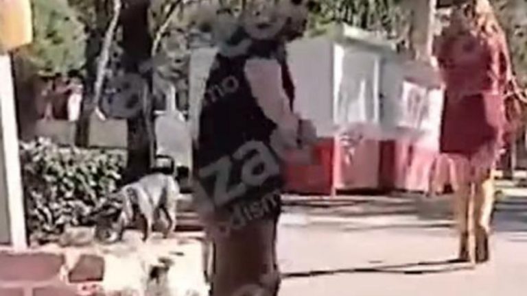 f1280x720-241358_373033_1044