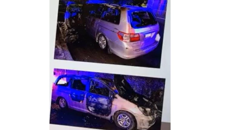 f1280x720-242011_373686_5050