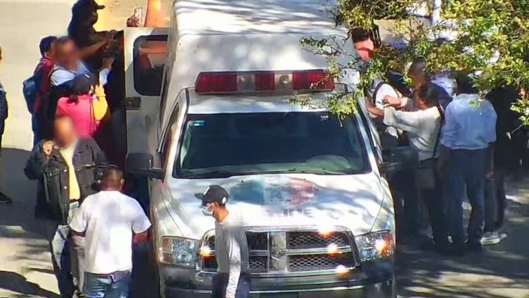 f1280x720-242589_374264_5050