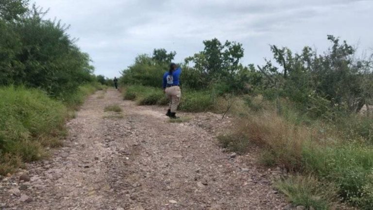 f1280x720-242721_374396_5050