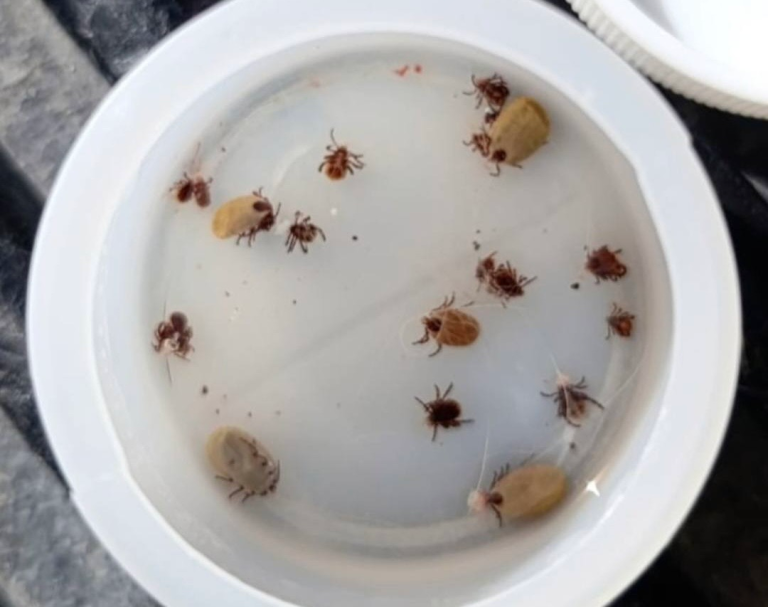 f792fb4c-f7c1-496d-845e-9210af09e91e