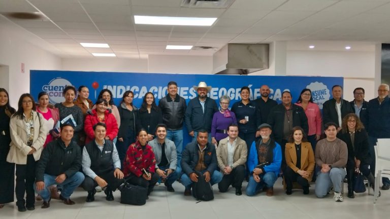 indicacic3b3n20geogrc3a1fica2028129