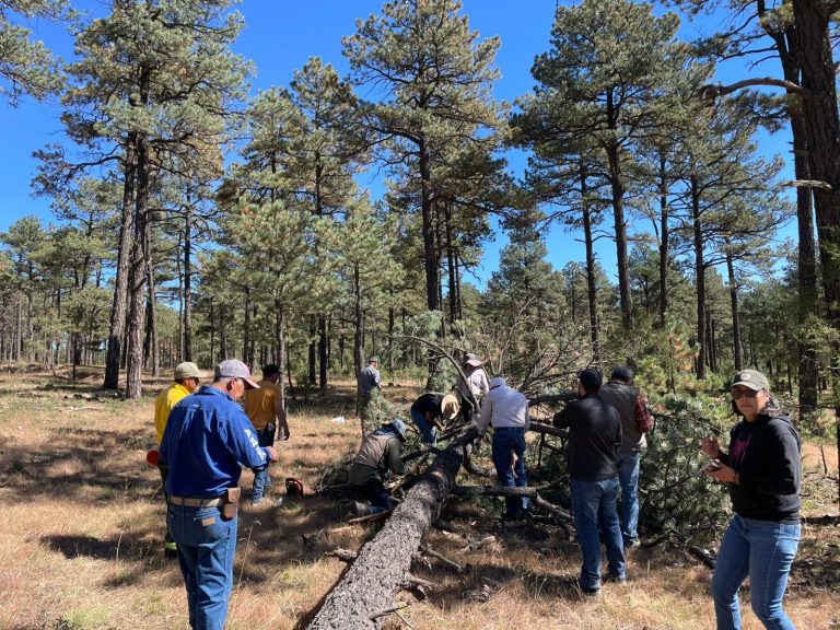 whatsapp20image202026-02-0620at203-29-1920pm2028229