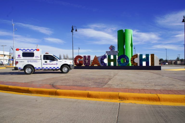 whatsapp20image202026-02-2020at201-29-5920pm