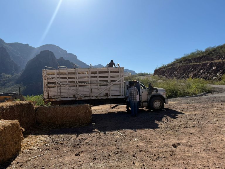 6335a3d4-c188-4307-9566-da4d3dcca70a